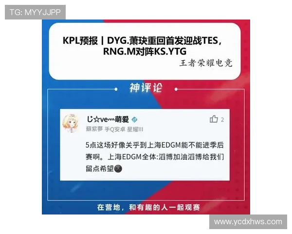 TES反击之路：荣耀与失落交织的王者荣耀评论分析