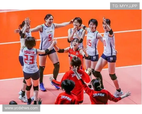 北京排球队比赛经验分析与提升策略探讨