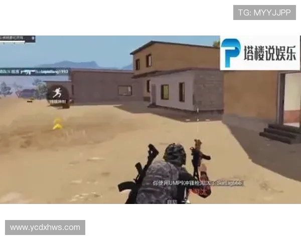 和平精英战术分析：深入解读IG战队的防反策略与执行细节