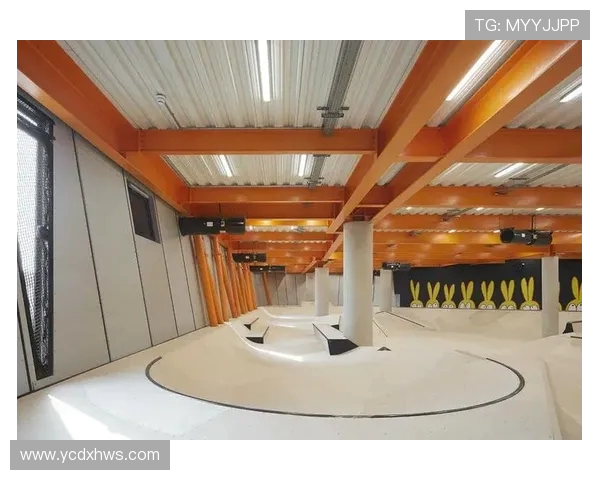 广州滑板队运营策略深度分析与发展路径探讨