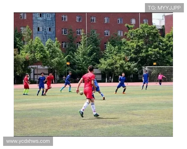 成都乒乓球队边路渗透战术分析及其在比赛中的优势与不足探讨