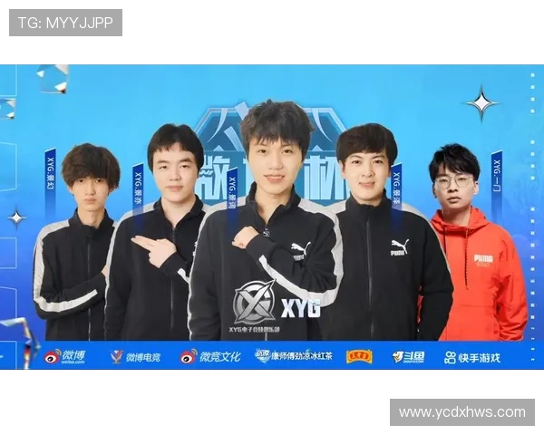 聚焦王者荣耀团队协作：WE战队配合策略与战术分析