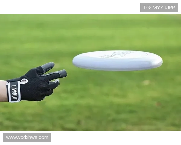 飞盘运动中的心理素质探讨：杭州飞盘队的心态与表现分析