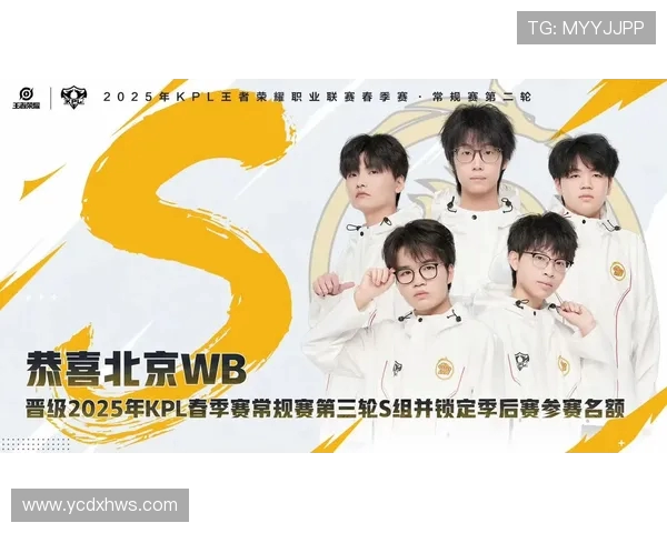 北京WB战队全方位解析从战术打法到选手成长与未来展望
