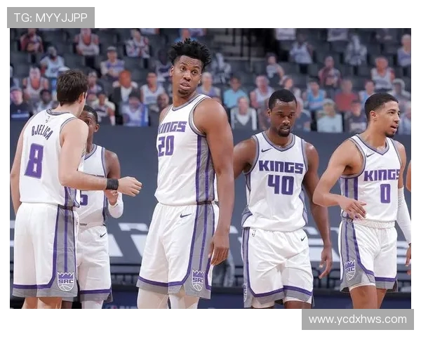 奇才与尼克斯对决前瞻分析及比赛结果预测